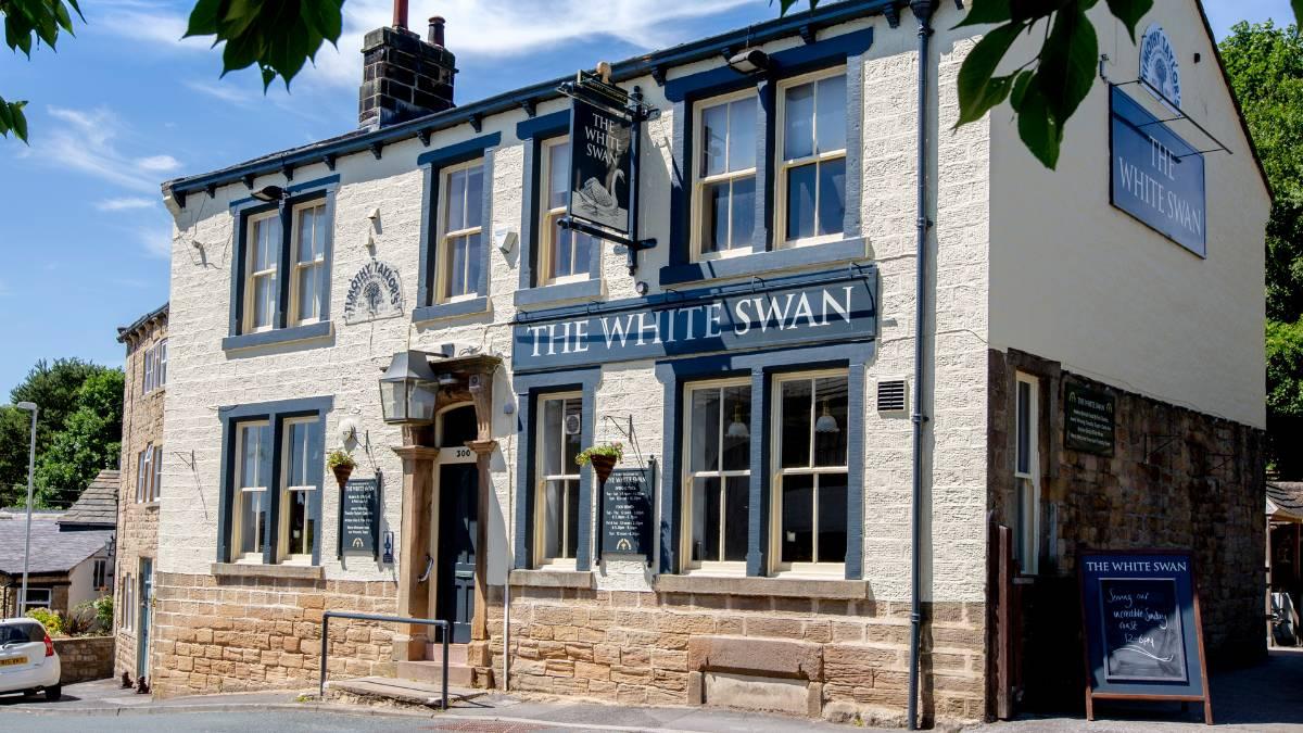 White Swan-2